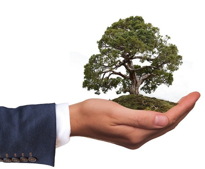 Socially Responsible Investment  - Do you want to go green?