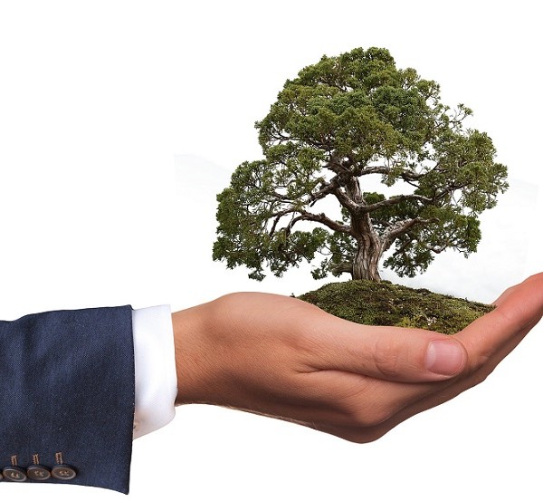 Socially Responsible Investment  - Do you want to go green?